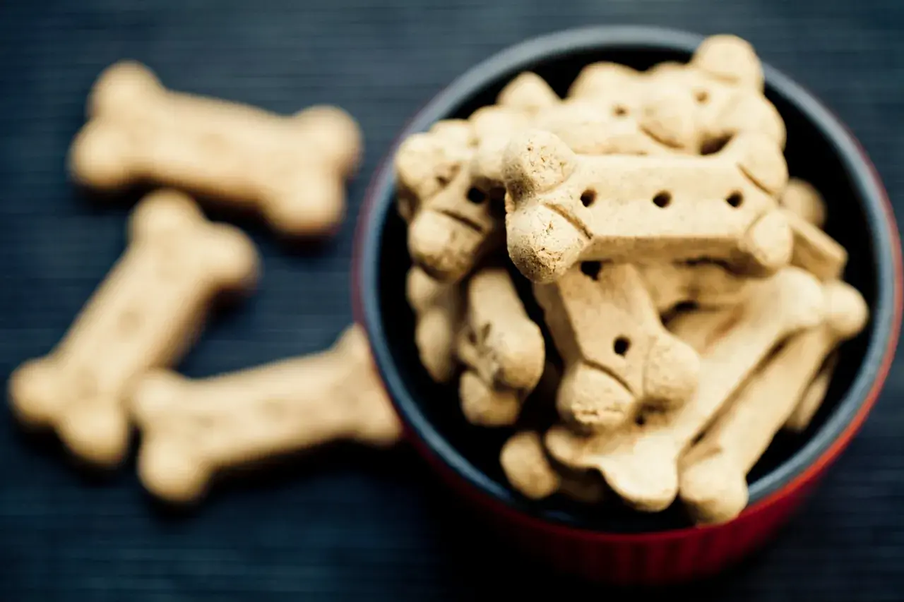 Leckere Hundekekse backen ist eine Freude! Knochenförmige Kekse in einer roten Schüssel und daneben.
